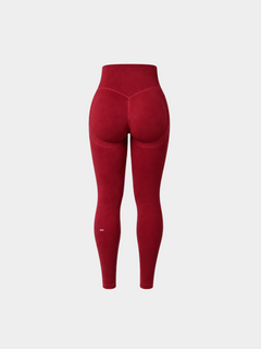 SCULPT Legging by Gallenn – product view 4